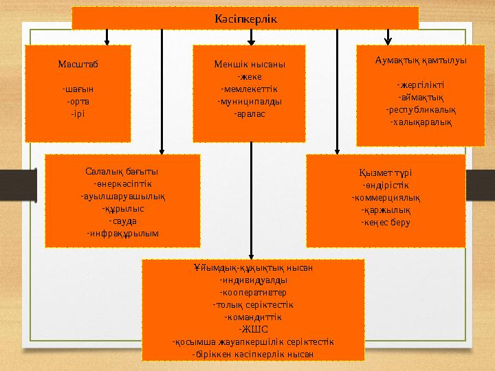 Кәсіпкерлік Масштаб - шағын - орта -ірі Меншік нысаны - жеке - мемлекеттік - муниципалды - аралас Аумақтық қамтылуы - жергілікті