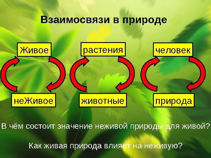 Взаимосвязи в природе Живое неЖивое растения животные человек природа В чём состоит значение неживой природы для живой? Как жива