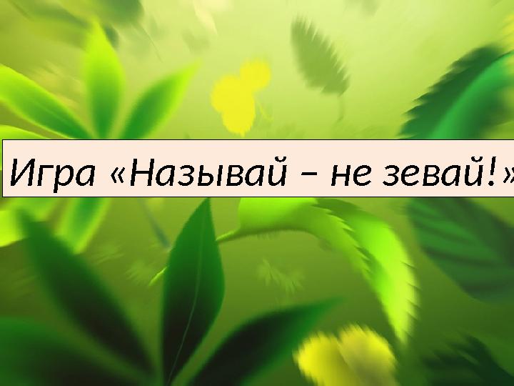 Игра «Называй – не зевай!»