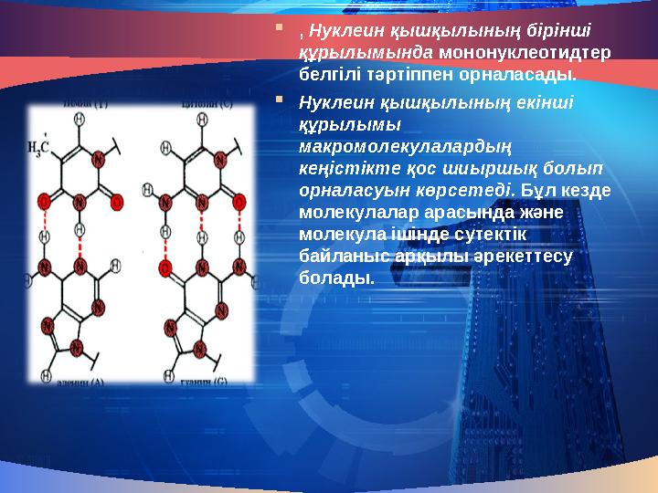  , Нуклеин қышқылының бірінші құрылымында мононуклеотидтер белгілі тәртіппен орналасады.  Нуклеин қышқылының екінші құрыл