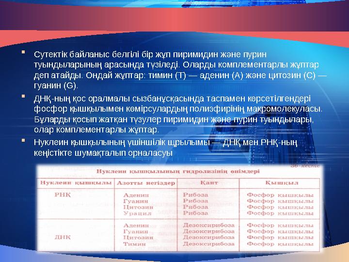  Сутектік байланыс белгілі бір жұп пиримидин және пурин туындыларының арасында түзіледі. Оларды комплементарлы жұптар деп ата