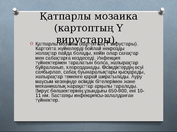 Қатпарлы мозаика (картоптың Y вирустары). O Қатпарлы мозаика (картоптың Y вирустары). Картопта жүйкелерді бойлай некрозды