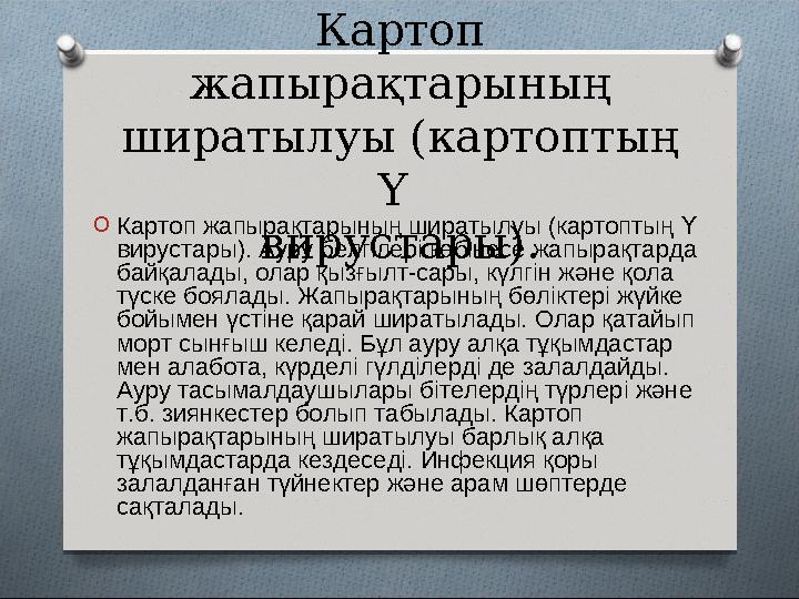 Картоп жапырақтарының ширатылуы (картоптың Y вирустары).O Картоп жапырақтарының ширатылуы (картоптың Y вирустары). Ауру бе