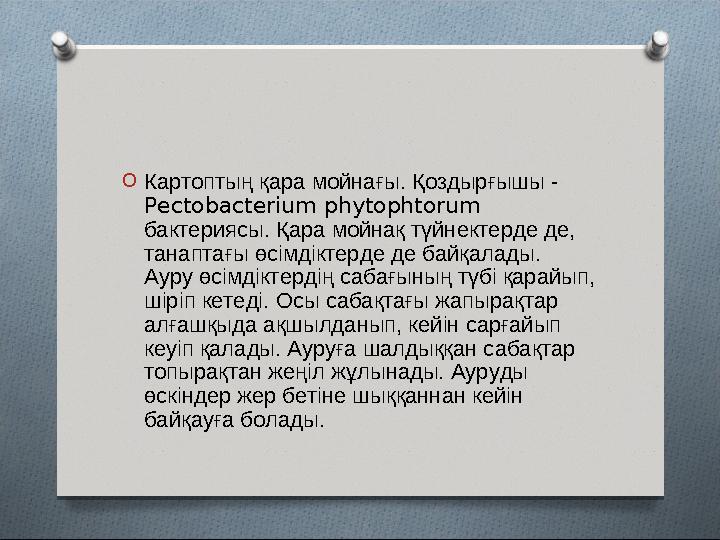 O Картоптың қара мойнағы. Қоздырғышы - Pectobacterium phytophtorum бактериясы. Қара мойнақ түйнектерде де, танаптағы өсімдікт