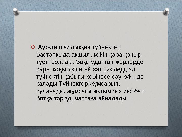 O Ауруға шалдыққан түйнектер бастапқыда ақшыл, кейін қара-қоңыр түсті болады. Зақымданған жерлерде сары-қоңыр кілегей зат т