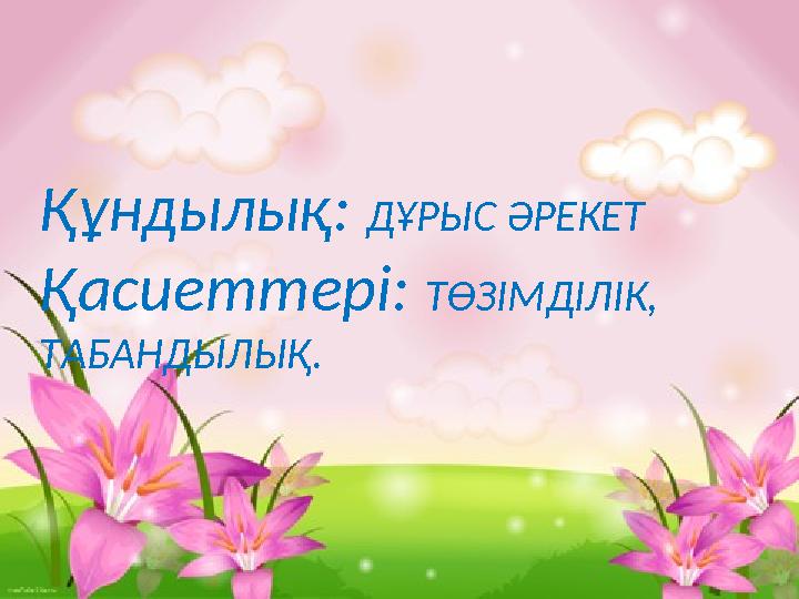 Құндылық: ДҰРЫС ӘРЕКЕТ Қасиеттері: ТӨЗІМДІЛІК, ТАБАНДЫЛЫҚ.