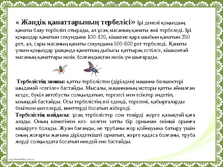 http://linda6035.ucoz.ru/ « Жәндік қанаттарының тербелісі » Ірі денелі қоңыздың қанаты баяу тербеліп отырады, ал ұсақ масаның