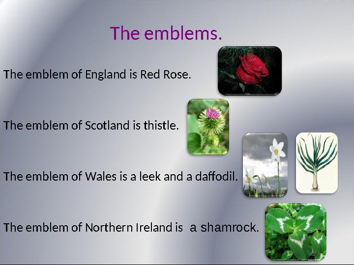 The emblems. The emblem of England is Red Rose. The emblem of Scotland is thistle. The emblem of Wales is