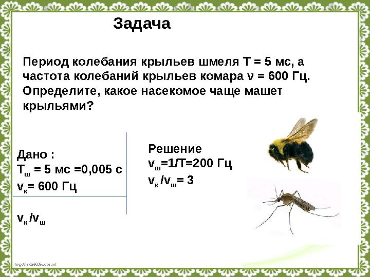 http://linda6035.ucoz.ru/ Период колебания крыльев шмеля T = 5 мс, а частота колебаний крыльев комара ν = 600 Гц. Определите,