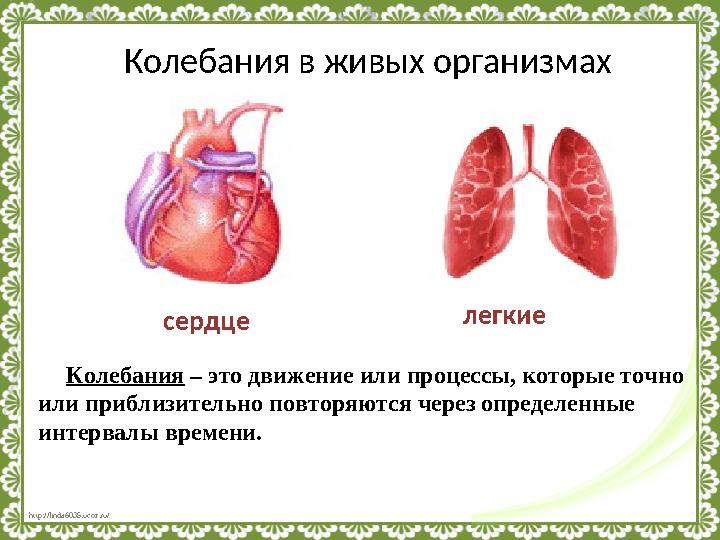 http://linda6035.ucoz.ru/ Колебания в живых организмах сердце легкие Колебания – это движение или процессы, которые точно ил