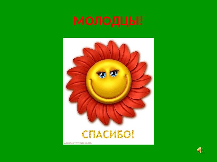 МОЛОДЦЫ!