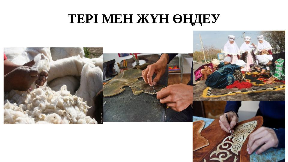 ТЕРІ МЕН ЖҮН ӨҢДЕУ