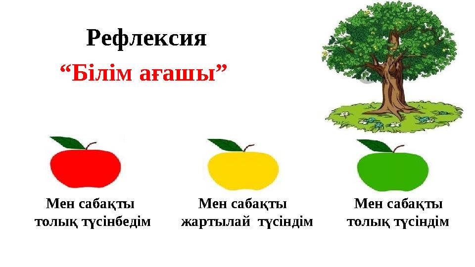 Рефлексия “ Білім ағашы” Мен сабақты Мен сабақты Мен сабақты толық түсінбедім жартыл