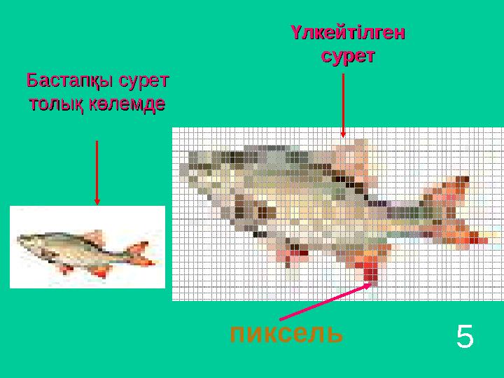 Бастапқы сурет Бастапқы сурет толық көлемдетолық көлемде пиксель Үлкейтілген Үлкейтілген суретсурет 5