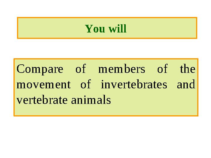 You will Compare of members of the movement of invertebrates and vertebrate animals