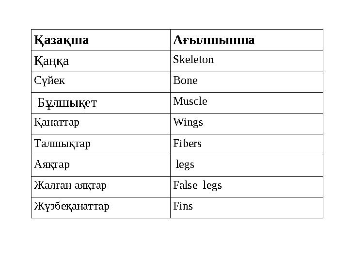 Қазақша Ағылшынша Қаңқа Skeleton Сүйек Bone Бұлшықет Muscle Қанаттар Wings Талшықтар Fibers Аяқтар legs Жалға