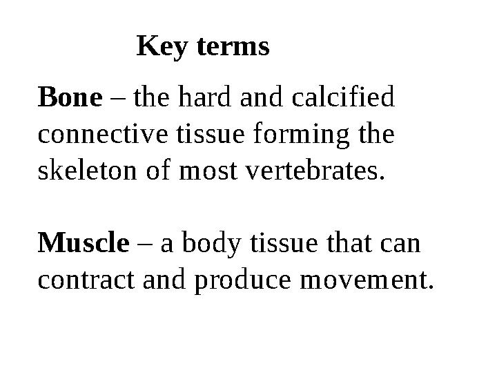 Key terms Bone – the hard and calcified connective tissue forming the skeleton of most vertebrates. Muscle – a body tissue