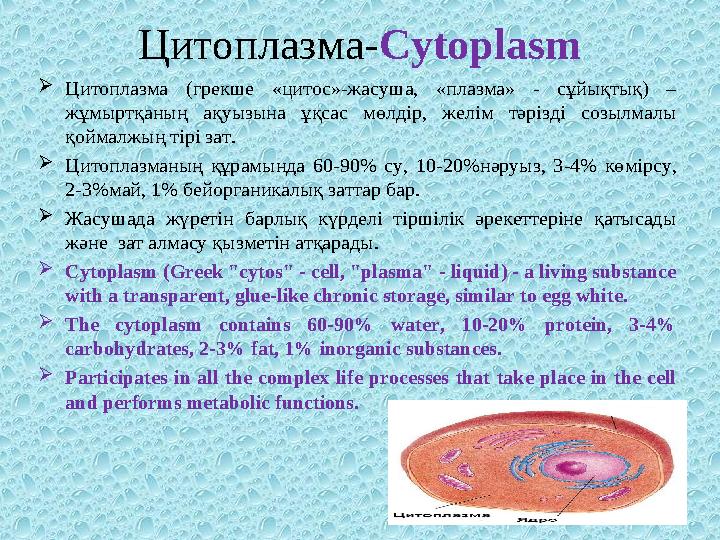 Цитоплазма- Cytoplasm  Цитоплазма (грекше «цитос»-жасуша, «плазма» - сұйықтық) – жұмыртқаның ақуызына ұқсас мөлдір, ж