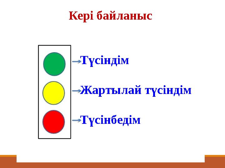 Т үсіндім Жартылай түсіндім ТүсінбедімКері байланыс