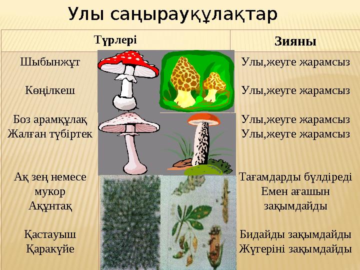 Түрлері Зияны Шыбынжұт Көңілкеш Боз арамқұлақ Жалған түбіртек Ақ зең немесе мукор Ақұнтақ Қастауыш Қаракүйе Улы,жеуге жарамсыз