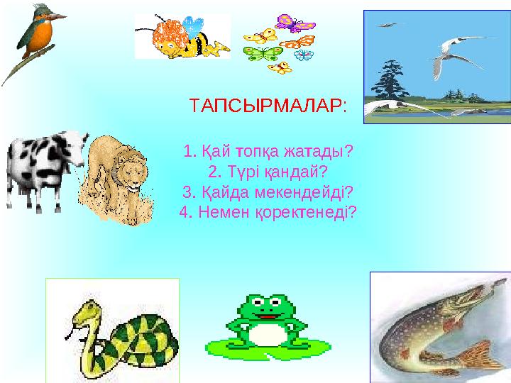 ТАПСЫРМАЛАР: 1. Қай топқа жатады? 2. Түрі қандай? 3. Қайда мекендейді? 4. Немен қоректенеді?