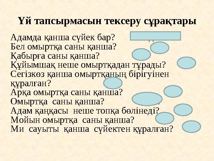 Үй тапсырмасын тексеру сұрақтары Адамда қанша сүйек бар? 200 ден аса Бел омыртқа саны қанша? 5 Қабырға с