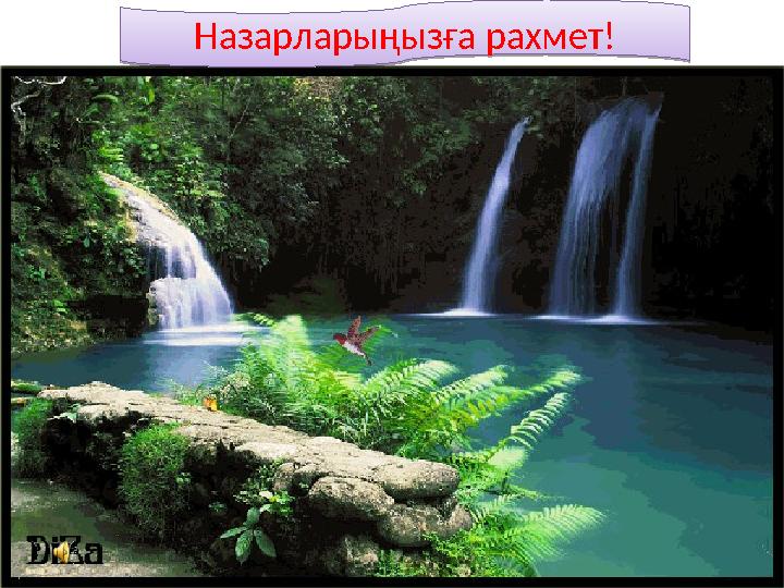 Назарларыңызға рахмет!Назарларыңызға рахмет!