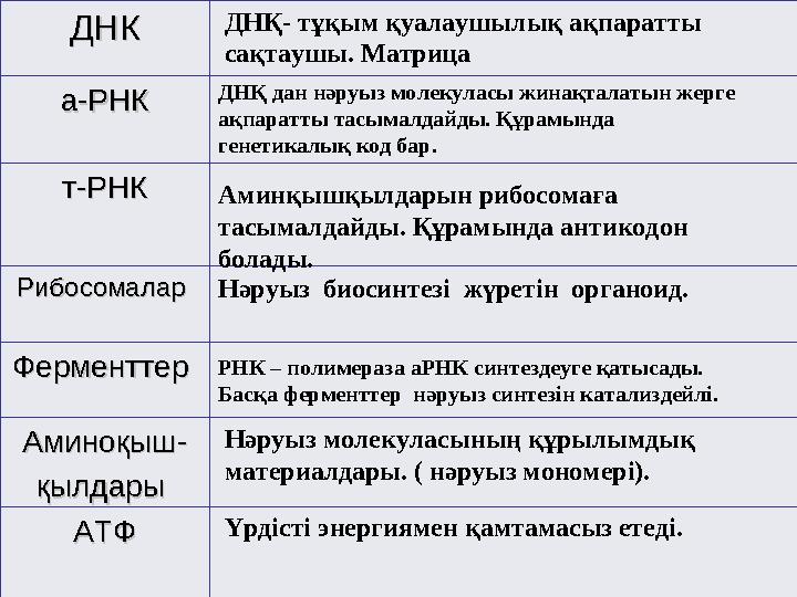 ДНКДНК а-РНКа-РНК т-РНКт-РНК Рибосомалар Рибосомалар Ферменттер Ферменттер АминоқышАминоқыш -- қылдары қылдары АТФАТФ ДНҚ- тұ