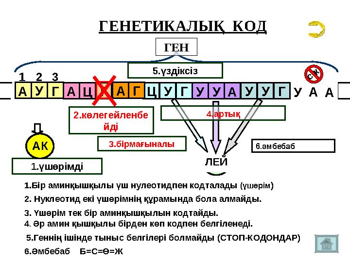 ТРИПЛЕТ (КОДОН) 6.Әмбебаб Б=С=Ө=Ж1. Бір аминқышқылы үш нулеотидпен кодталады (үшөрім ) 2. Нуклеотид екі үшөрімнің құрамынд