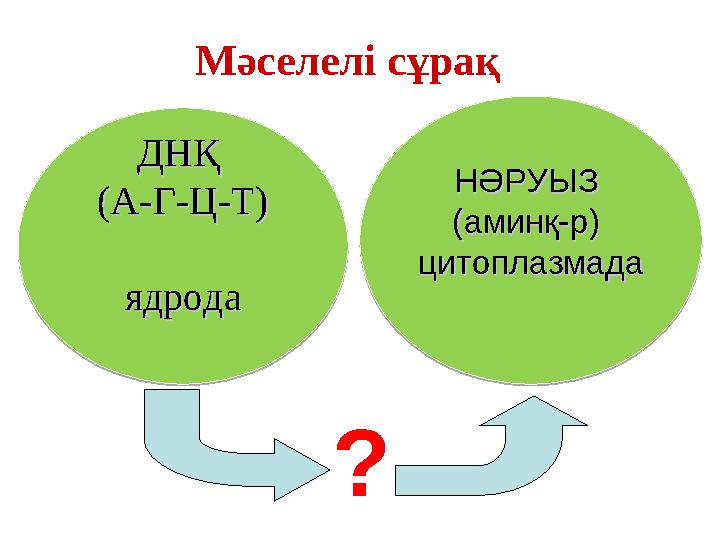 ?Мәселелі сұрақ ДНҚ ДНҚ (А-Г-Ц-Т)(А-Г-Ц-Т) ядродаядрода НӘРУЫЗ НӘРУЫЗ (аминқ-р) (аминқ-р) цитоплазмадацитоплазмадаДНҚ ДНҚ