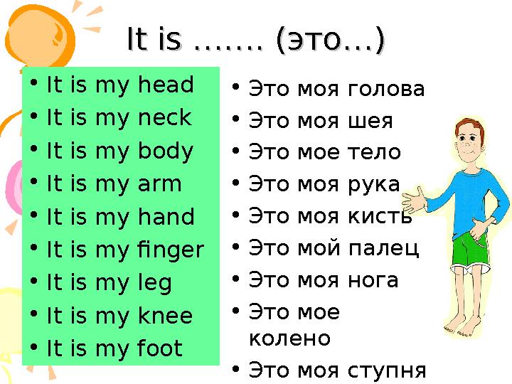 It is ……. (It is ……. ( это…это… )) • It is my head • It is my neck • It is my body • It is my arm • It is my hand • It is my fin It is ……. (It is ……. ( это…это… )) • It is my head • It is my neck • It is my body • It is my arm • It is my hand • It is my fin