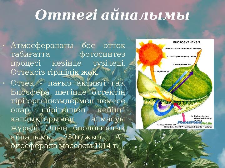 Оттег і айналымы • Атмосферадағы бос оттек табиғатта фотосинтез . процесі кезінде түзіледі . Оттексіз тірш