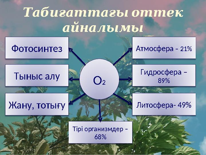 Табиғаттағы оттек айналымы О 2Фотосинтез Тірі организмдер – 68%Тыныс алу Жану, тотығу Литосфера- 49% Гидросфера – 89%Атмосф