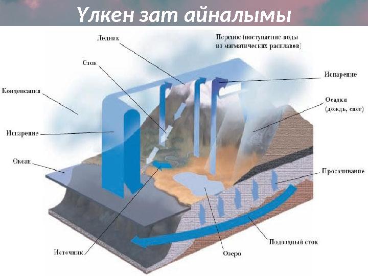 Үлкен зат айналымы