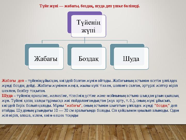 Түйе жүні — жабағы, боздақ, шуда деп үшке бөлінеді. Жабағы деп – түйенің ұйысқан, киіздей болған жүнін айтады. Жабағының асты