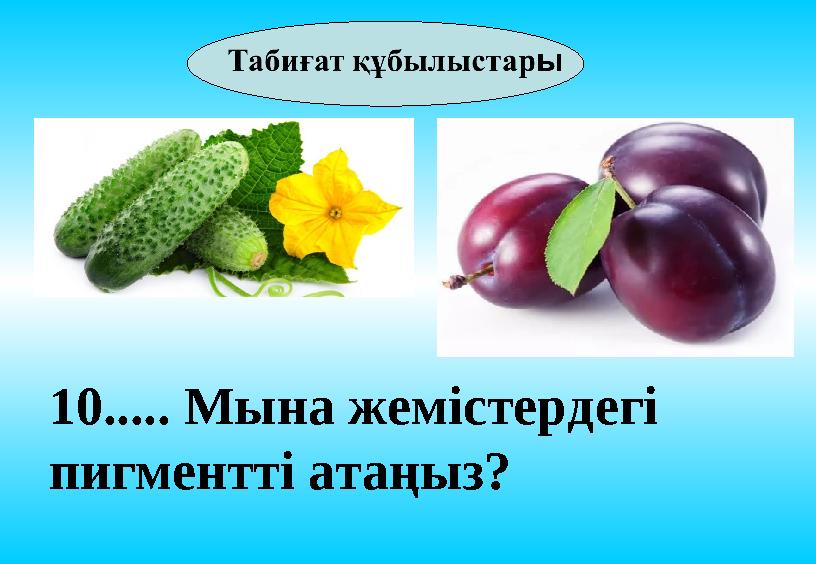 10..... Мына жемістердегі пигментті атаңыз?