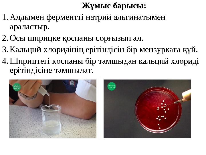 Жұмыс барысы: 1. Алдымен ферментті натрий альгинатымен араластыр. 2. Осы шприцке қоспан