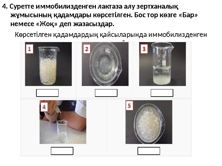4. Суретте иммобилизденген лактаза алу зертханалық жұмысының қадамдары көрсетілген. Бос тор көзге «Бар» немесе «Жоқ» деп жаза