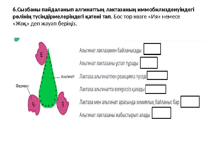 6.Сызбаны пайдаланып алгинаттың лактазаның иммобилизденуіндегі рөлінің түсіндірмелеріндегі қатені тап . Бос тор көзге «Ия» неме