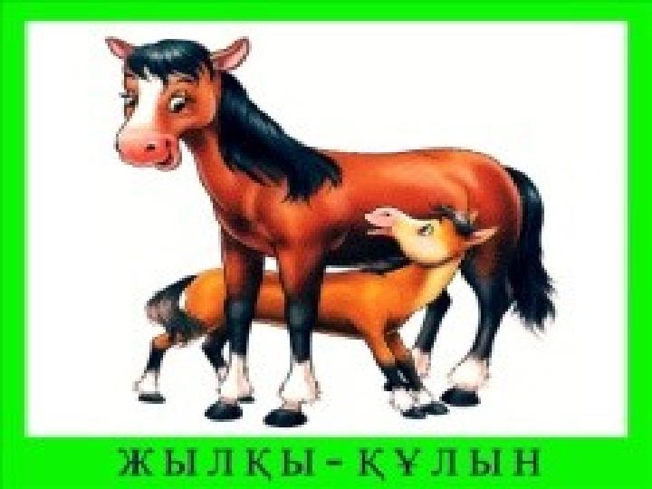 Жылқы – құлын