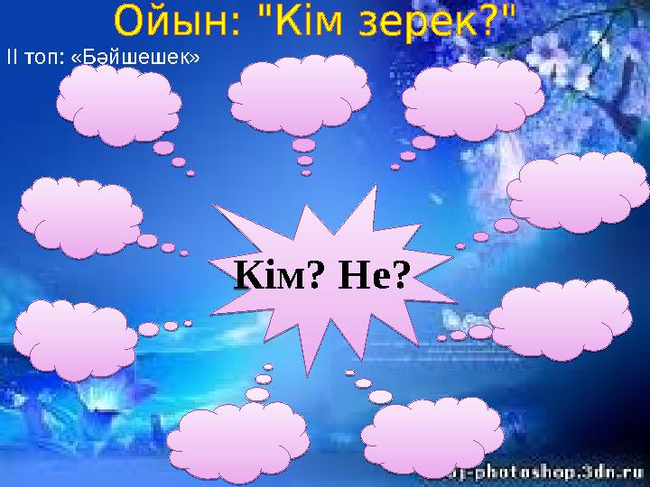 Кім? Не? ІІ топ: «Бәйшешек»Кім? Не?