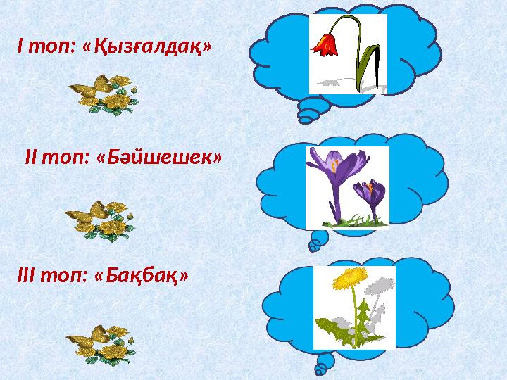 І топ: «Қызғалдақ» ІІ топ: «Бәйшешек» ІІІ топ: «Бақбақ»