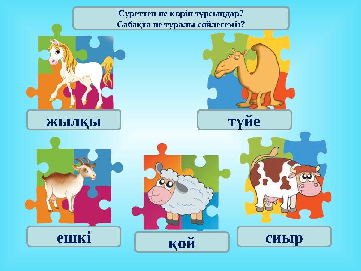 жыл қы түйе ешкі қой сиырСуреттен не көріп тұрсыңдар? Сабақта не туралы сөйлесеміз?