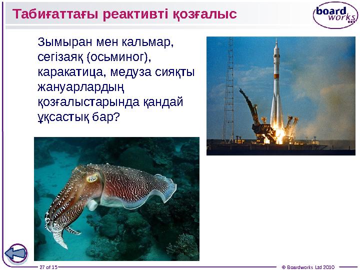 27 of 15 © Boardworks Ltd 2010Зымыран мен кальмар, сегізаяқ (осьминог), каракатица, медуза сияқты жануарлардың қозғалыстары