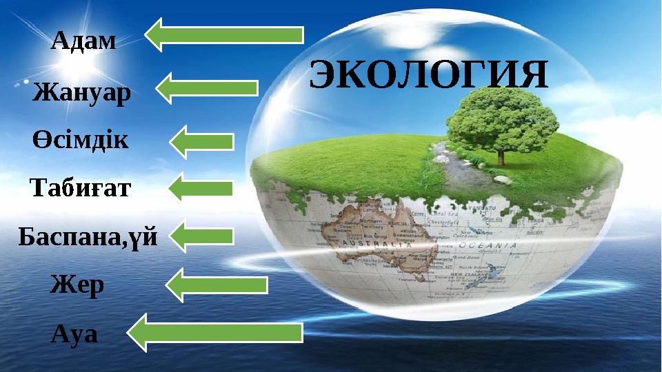 Адам Жануар Өсімдік Табиғат Баспана,үй Жер Ауа ЭКОЛОГИЯ