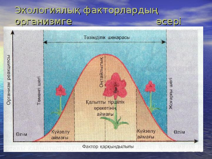 Экологиялық факторлардың Экологиялық факторлардың организмге әсеріорганизмге