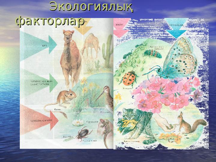 Экологиялық Экологиялық факторларфакторлар