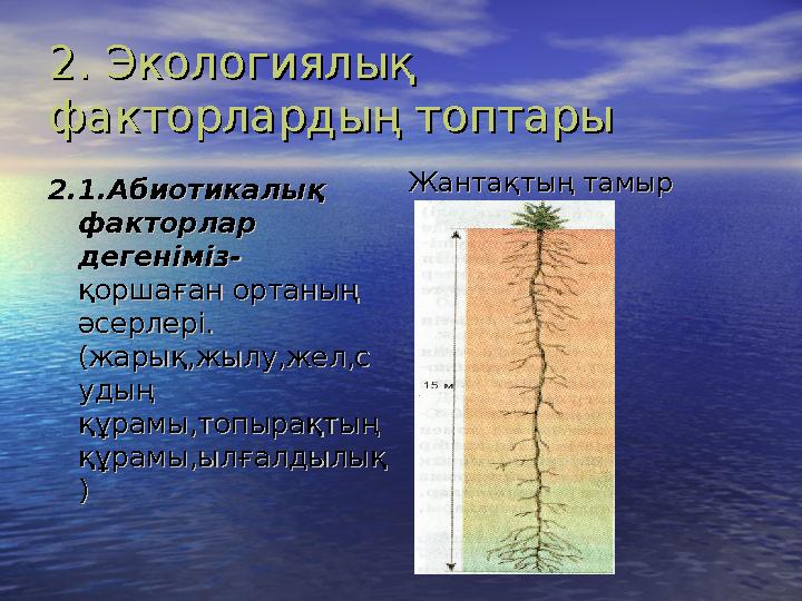 2. Экологиялық 2. Экологиялық факторлардың топтарыфакторлардың топтары 2.1.2.1. Абиотикалық Абиотикалық факторлар факторлар д