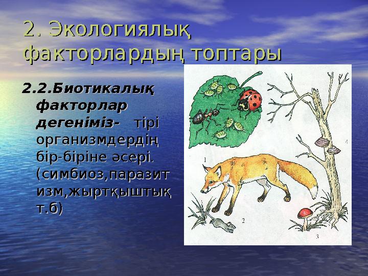 2. Экологиялық 2. Экологиялық факторлардың топтарыфакторлардың топтары 22 .. 2.2. Биотикалық Биотикалық факторлар факторлар д