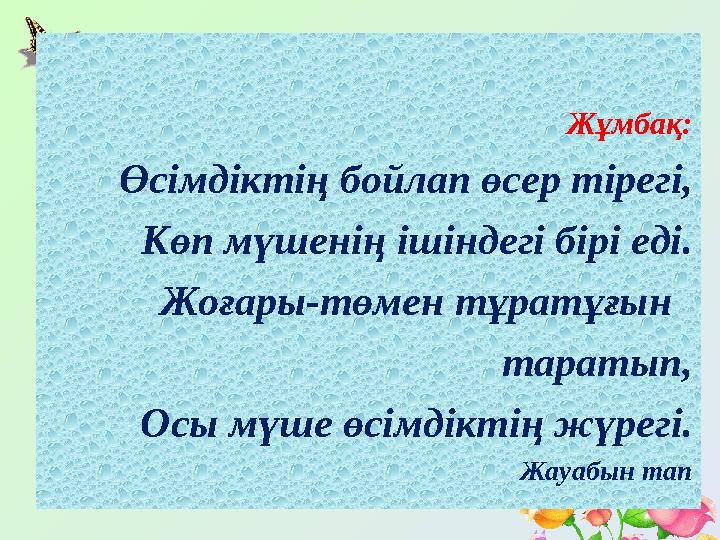 Жұмбақ: Өсімдіктің бойлап өсер тірегі, Көп мүшенің ішіндегі бірі еді. Жоғары-төмен тұратұғын